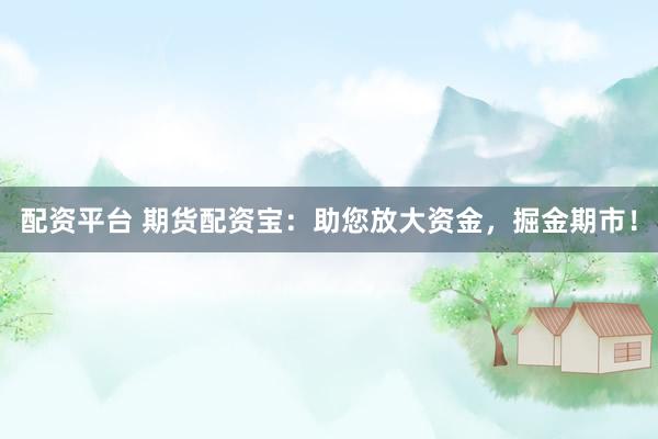 配资平台 期货配资宝：助您放大资金，掘金期市！