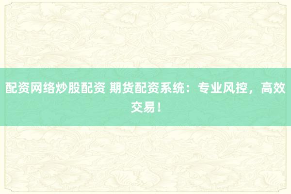 配资网络炒股配资 期货配资系统：专业风控，高效交易！