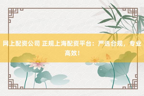 网上配资公司 正规上海配资平台：严选合规，专业高效！