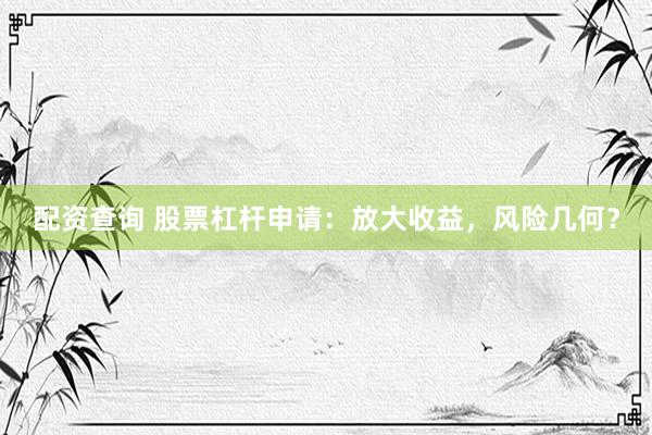 配资查询 股票杠杆申请：放大收益，风险几何？