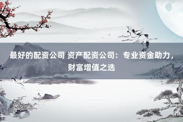 最好的配资公司 资产配资公司：专业资金助力，财富增值之选