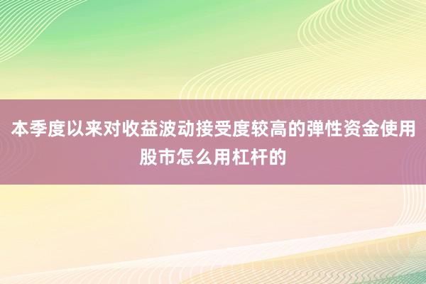 本季度以来对收益波动接受度较高的弹性资金使用股市怎么用杠杆的