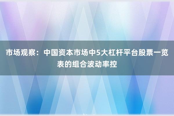 市场观察：中国资本市场中5大杠杆平台股票一览表的组合波动率控