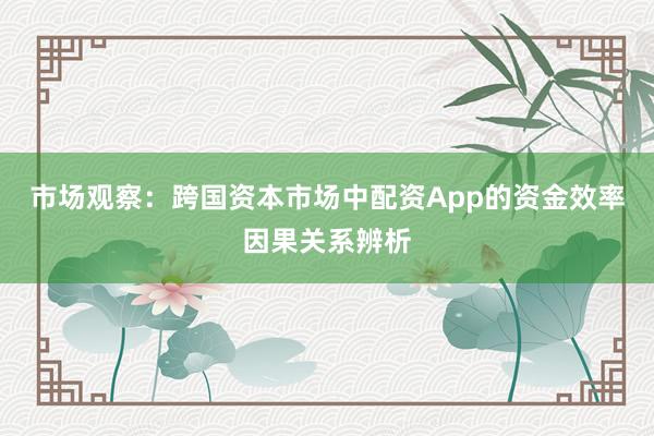 市场观察：跨国资本市场中配资App的资金效率因果关系辨析