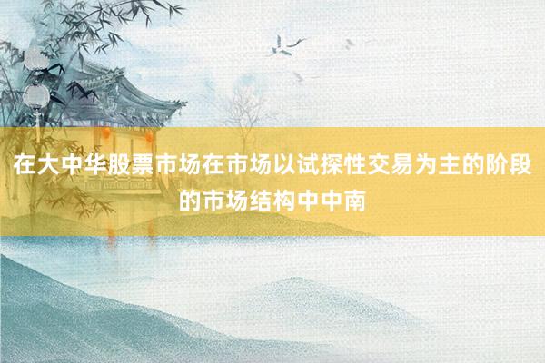 在大中华股票市场在市场以试探性交易为主的阶段的市场结构中中南