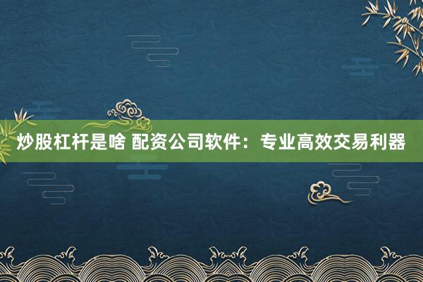 炒股杠杆是啥 配资公司软件：专业高效交易利器