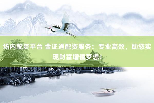 场内配资平台 金证通配资服务：专业高效，助您实现财富增值梦想！