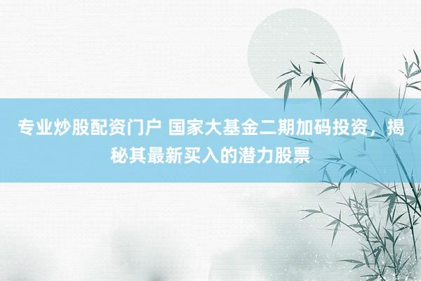 专业炒股配资门户 国家大基金二期加码投资，揭秘其最新买入的潜力股票