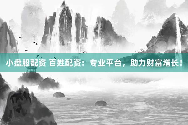 小盘股配资 百姓配资：专业平台，助力财富增长！
